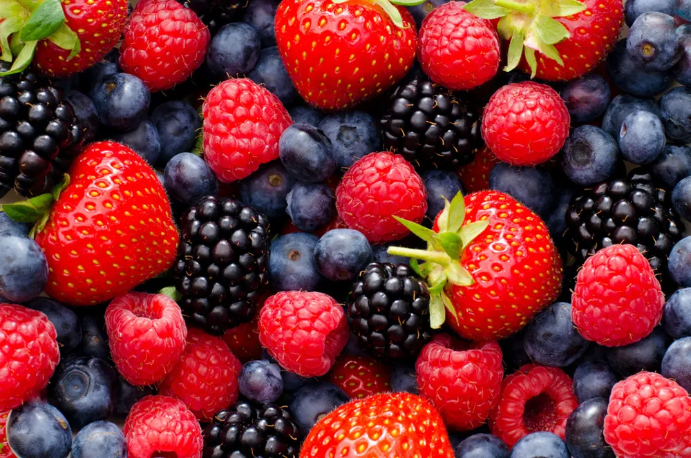 fruits rouges
